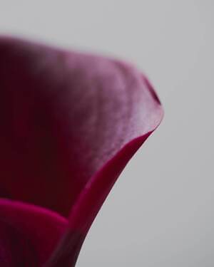 メアグラーティア(meagratia) 2026年春夏ウィメンズ&メンズコレクション  - 写真41