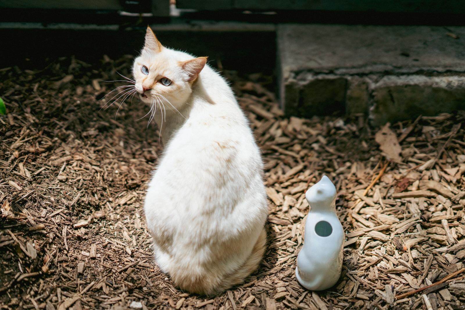 子猫モチーフの“花柄＆カラフル絵付け”花器、元コシラエル・ひがしちか監修｜写真26