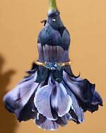 “海＆サンセット着想”カラーストーン輝くリング、フランス発ジュエリーブランド ジェミオから｜写真1