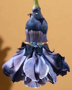 “海＆サンセット着想”カラーストーン輝くリング、フランス発ジュエリーブランド ジェミオから｜写真1