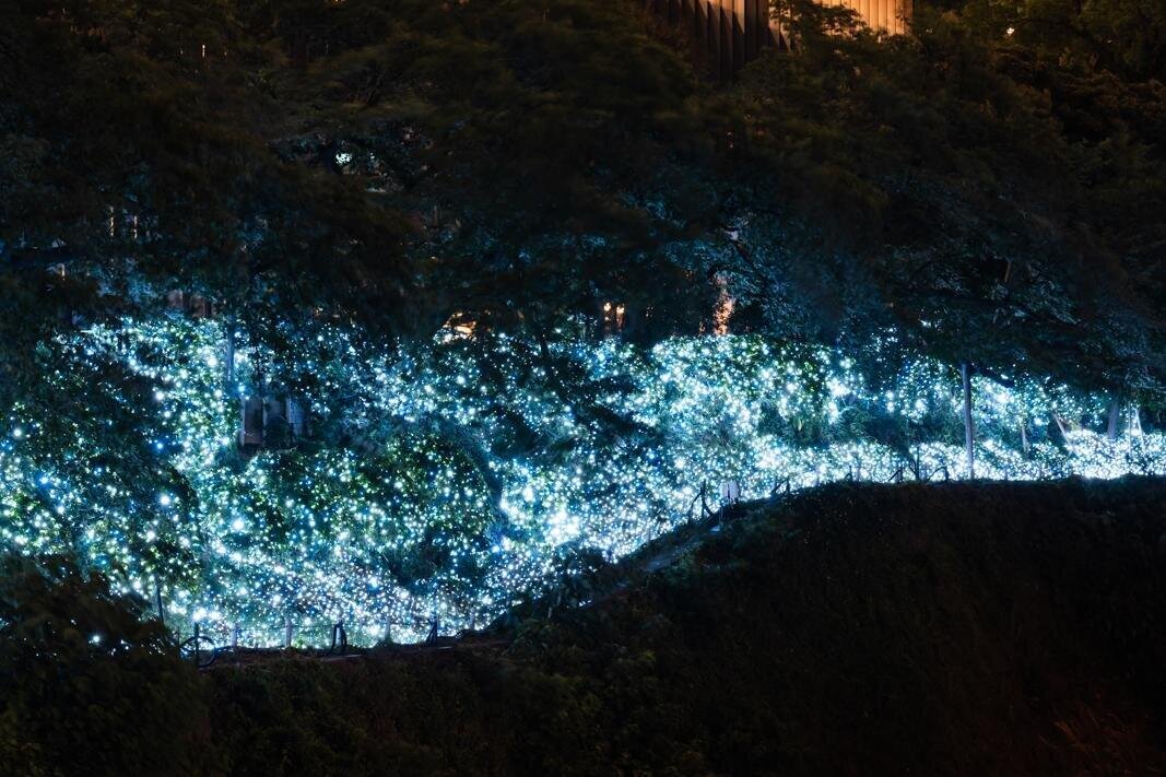 イルミネーション｜東京ガーデンテラス紀尾井町の夏イベント、‟青く染まる”ライトアップや白桃パフェなど納涼メニュー