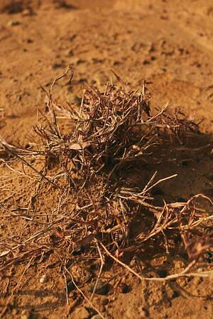 ブラームス(blurhms) 2025-26年秋冬ウィメンズ&メンズコレクション  - 写真13