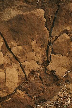 ブラームス(blurhms) 2025-26年秋冬ウィメンズ&メンズコレクション  - 写真20