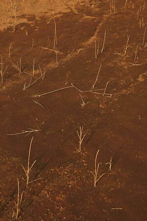 ブラームス(blurhms) 2025-26年秋冬ウィメンズ&メンズコレクション  - 写真29