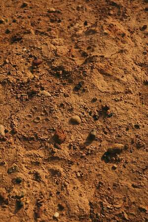 ブラームス(blurhms) 2025-26年秋冬ウィメンズ&メンズコレクション  - 写真33