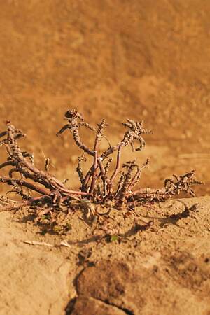 ブラームス(blurhms) 2025-26年秋冬ウィメンズ&メンズコレクション  - 写真38