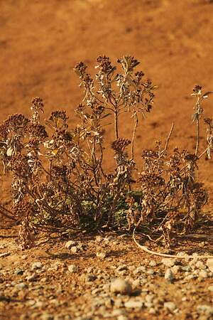 ブラームス(blurhms) 2025-26年秋冬ウィメンズ&メンズコレクション  - 写真46