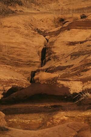 ブラームス(blurhms) 2025-26年秋冬ウィメンズ&メンズコレクション  - 写真54