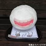 【全国版】おいしいかき氷特集 - 老舗甘味処の和スイーツから映えキャラ氷まで｜写真3