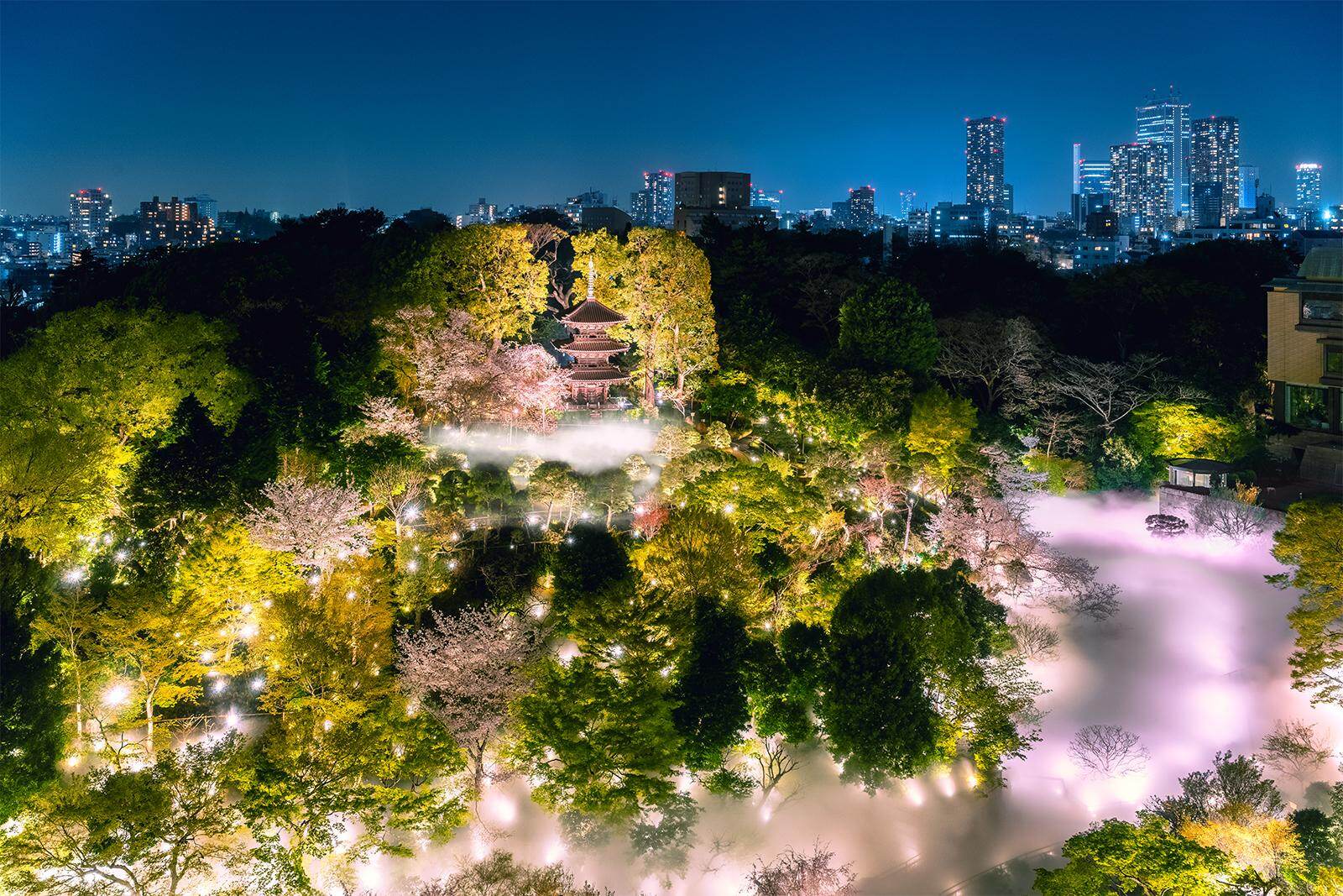 ロクシタン(L'OCCITANE) 東京雲海｜写真9