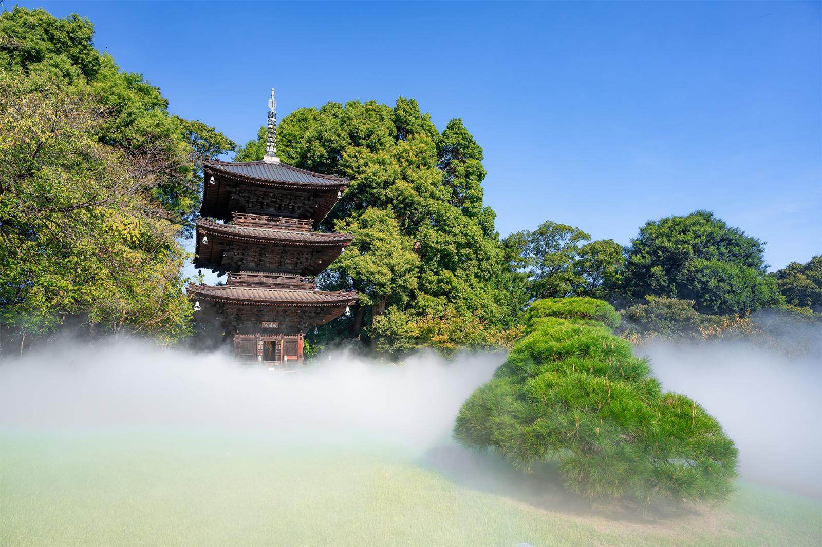 ロクシタン(L'OCCITANE) 東京雲海｜写真7