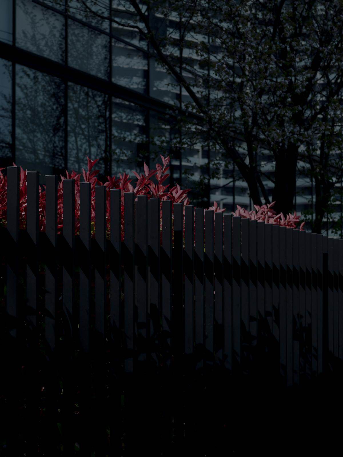 ラッド ミュージシャン 2025-26年秋冬<span>コレクション</span> - 写真15