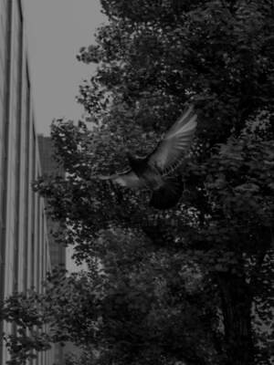 ラッド ミュージシャン(LAD MUSICIAN) 2025-26年秋冬メンズコレクション  - 写真11