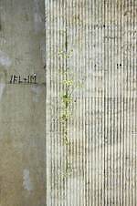 ジル サンダー銀座が“草花に包まれる”インスタレーションイベント、限定ドリンク販売も｜写真20