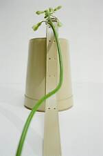 ジル サンダー銀座が“草花に包まれる”インスタレーションイベント、限定ドリンク販売も｜写真23