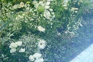 ジル サンダー銀座が“草花に包まれる”インスタレーションイベント、限定ドリンク販売も｜写真3