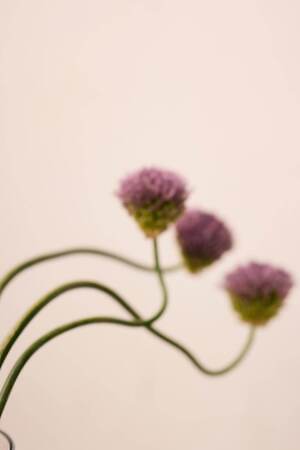 マリリンムーン(MARILYN MOON) 2025年プレフォールウィメンズコレクション  - 写真6