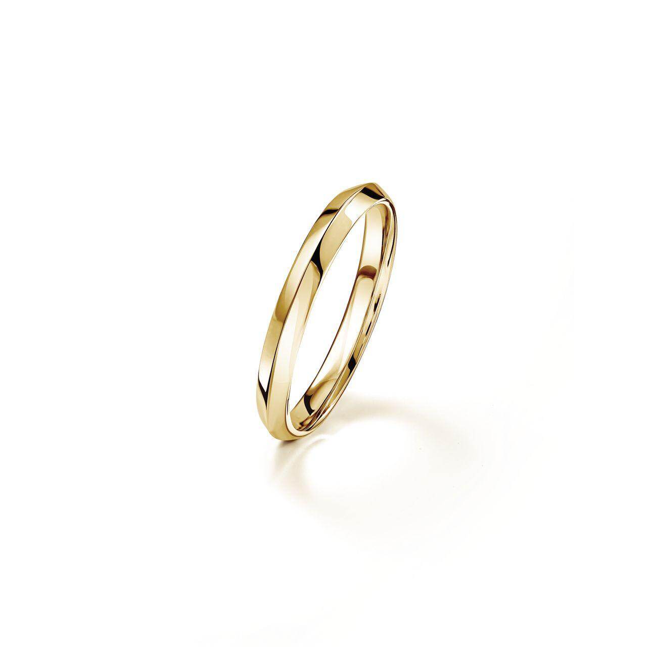 ジェミオ(Gemmyo) アリアンヌ｜写真12