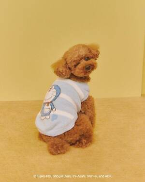 ジェラート ピケ(gelato pique) ドラえもん＆ドラミ｜写真16