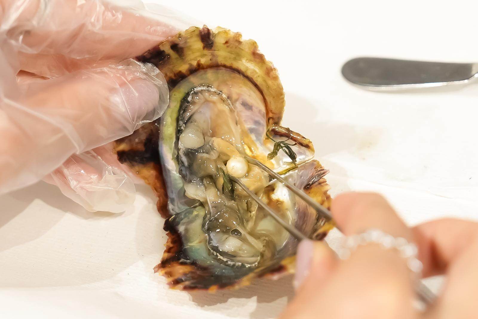 真珠取り出し体験 1,000円