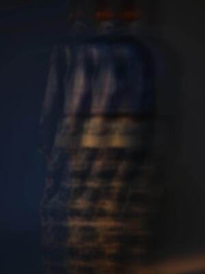 タイニーダイナソー(tiny dinosaur) 2025年春夏ウィメンズコレクション  - 写真3