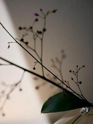 ワランス(WALANCE) 2025-26年秋冬ウィメンズコレクション  - 写真43