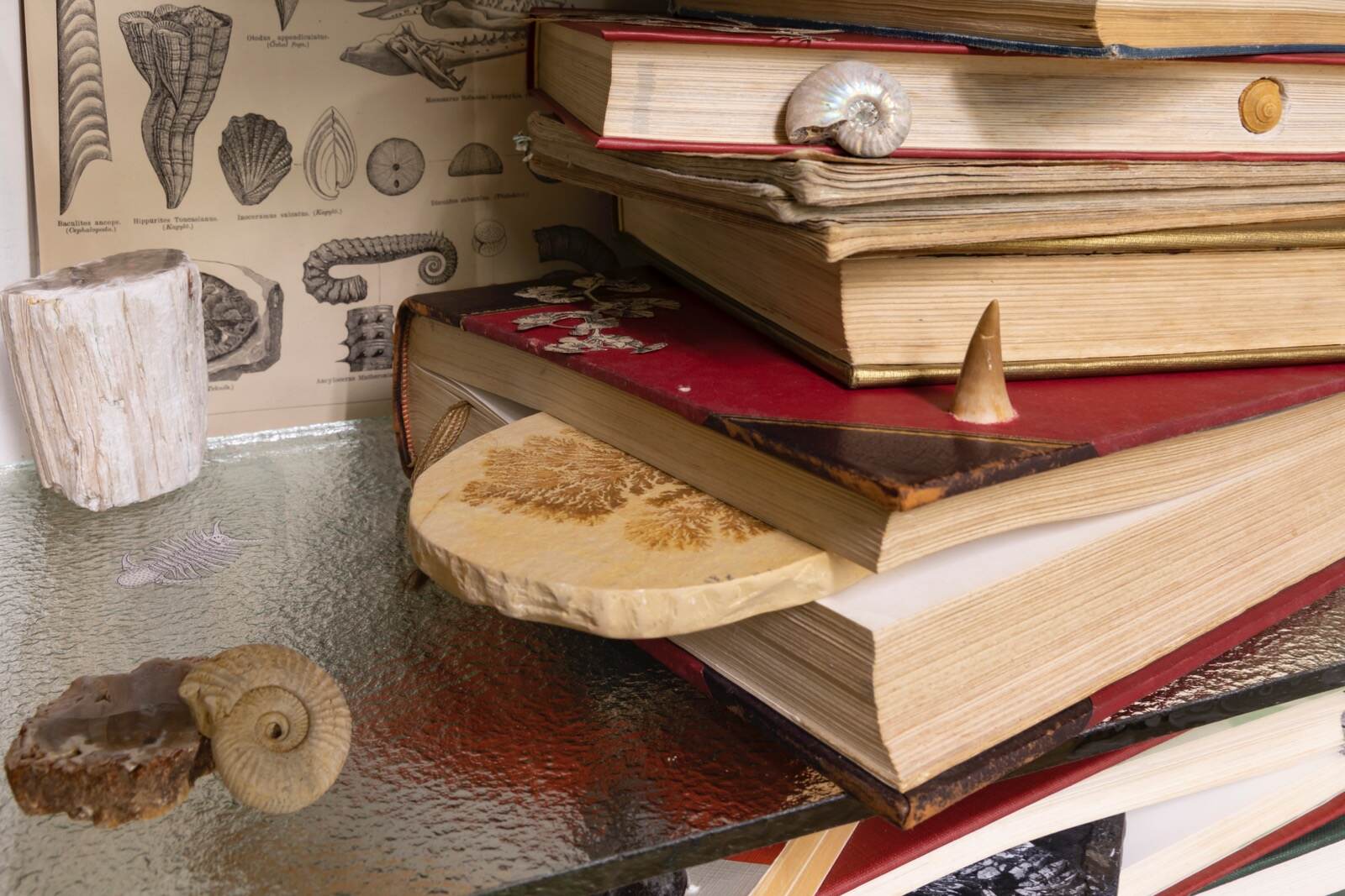 ［参考図版］ 髙田安規子・政子 《Strata》 2022年