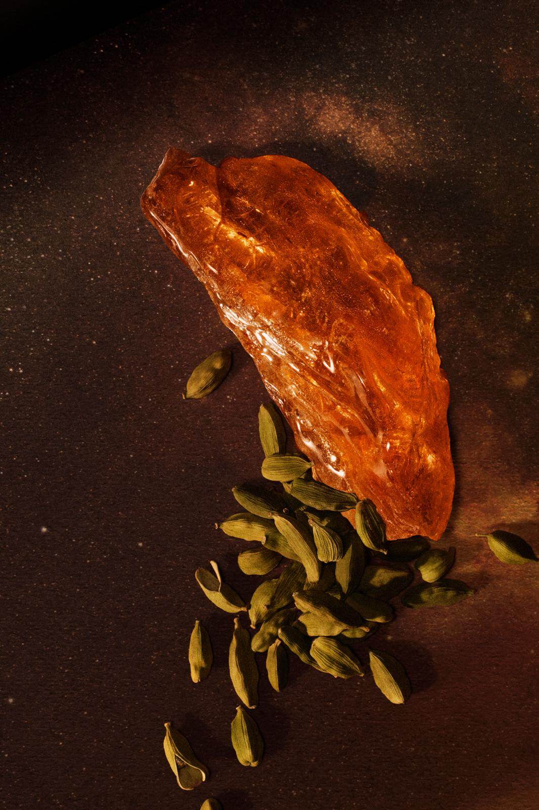 イソップ(Aēsop) 流れ星｜写真5