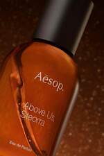 イソップ(Aēsop) 流れ星｜写真4