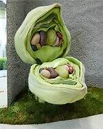 アーダーエラー(ADERERROR) アーダーエラー 東京 スペース｜写真16