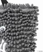 ”モップ生地”目玉付きハンドバッグ、ザ スタンド フール ソー グッズで｜写真30