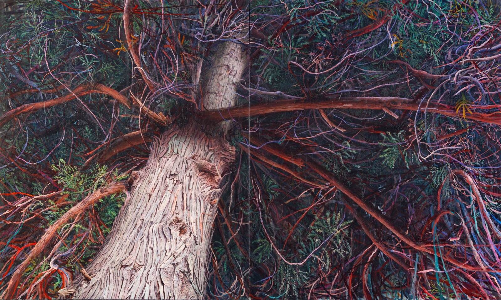 水野暁 《日本の樹・二本の杉(白山神社／東吾妻町・伊勢の森／中之条町)》 2018〜22年