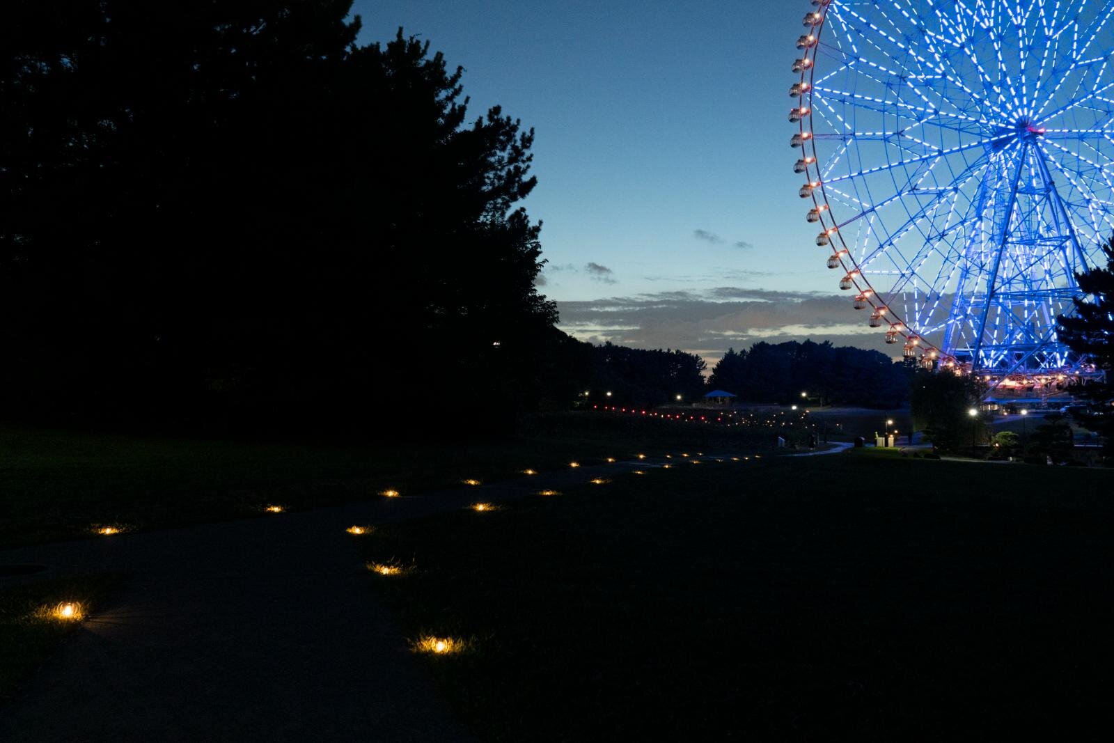 葛西臨海公園「花と光のムーブメント」約4万本のひまわりライトアップ、宮島達男が手がける光のアート｜写真7