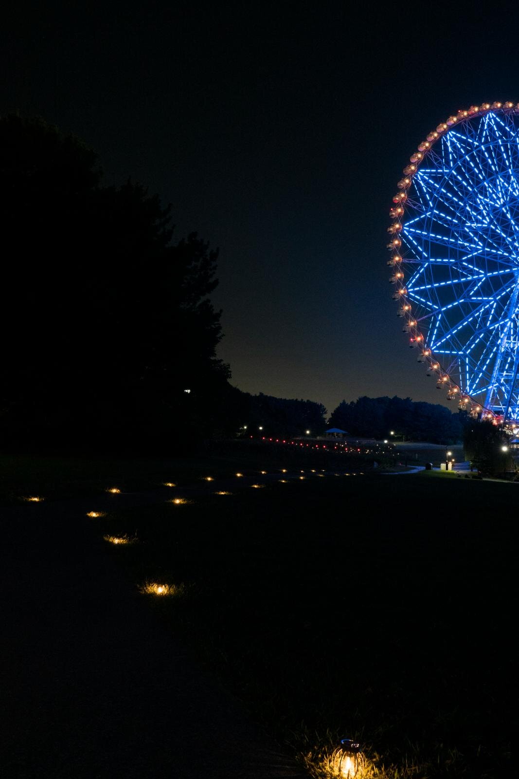 葛西臨海公園「花と光のムーブメント」約4万本のひまわりライトアップ、宮島達男が手がける光のアート｜写真11