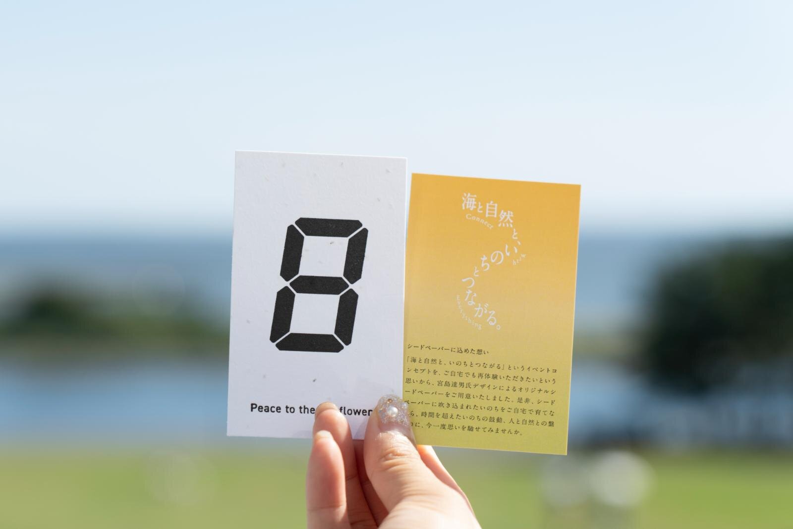 葛西臨海公園「花と光のムーブメント」約4万本のひまわりライトアップ、宮島達男が手がける光のアート｜写真3