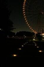 葛西臨海公園「花と光のムーブメント」約4万本のひまわりライトアップ、宮島達男が手がける光のアート｜写真12