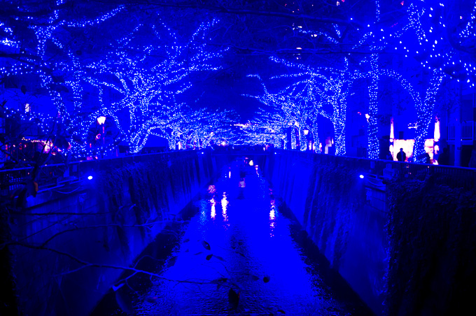 青の洞窟イルミネーションが渋谷で復活！渋谷公園通りから代々木公園ケヤキ並木まで青の空間に｜写真9