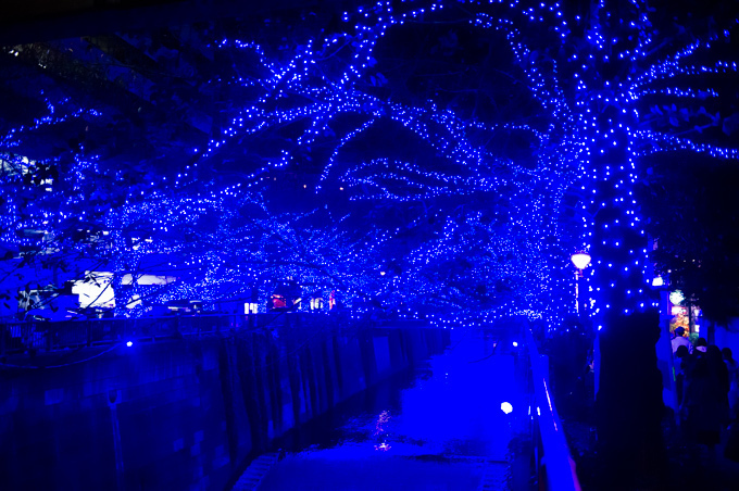 青の洞窟イルミネーションが渋谷で復活！渋谷公園通りから代々木公園ケヤキ並木まで青の空間に｜写真10
