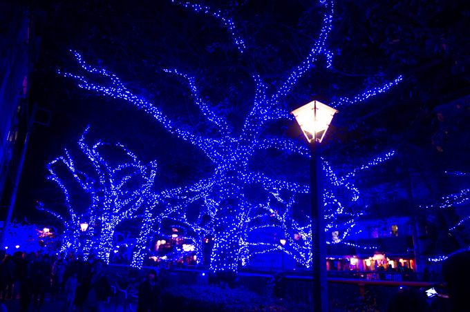 青の洞窟イルミネーションが渋谷で復活！渋谷公園通りから代々木公園ケヤキ並木まで青の空間に｜写真11