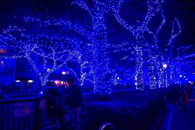 青の洞窟イルミネーションが渋谷で復活！渋谷公園通りから代々木公園ケヤキ並木まで青の空間に｜写真13