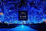 青の洞窟イルミネーションが渋谷で復活！渋谷公園通りから代々木公園ケヤキ並木まで青の空間に｜写真7
