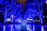 青の洞窟イルミネーションが渋谷で復活！渋谷公園通りから代々木公園ケヤキ並木まで青の空間に