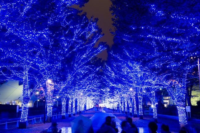 青の洞窟イルミネーションが渋谷で復活 渋谷公園通りから代々木公園ケヤキ並木まで青の空間に ファッションプレス