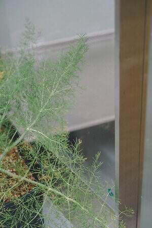 シオタ(CIOTA) 2023-24年秋冬ウィメンズ&メンズコレクション  - 写真40