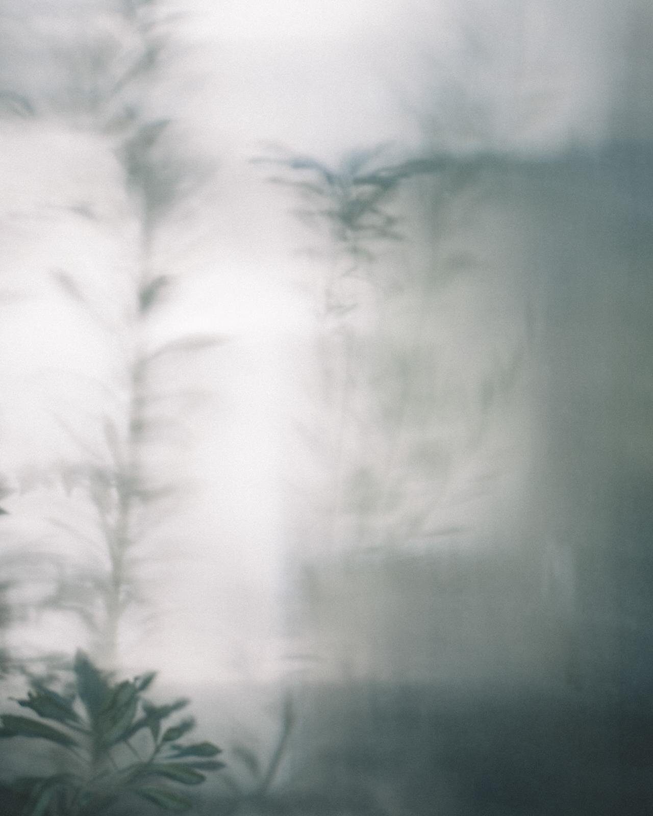 シオタ(CIOTA) 2024年春夏ウィメンズ&メンズコレクション  - 写真8