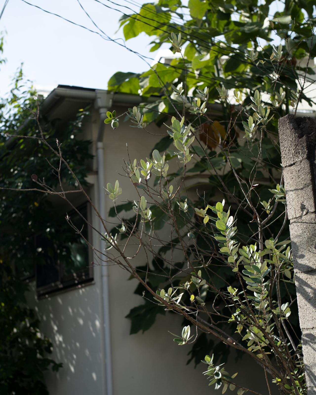 シオタ(CIOTA) 2024年春夏ウィメンズ&メンズコレクション  - 写真16