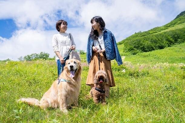 白馬マウンテンフェスティバル 2025 スノーピークランドステーション白馬｜写真10