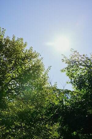 バウト(BOWTE) 2024年春夏ウィメンズコレクション  - 写真3