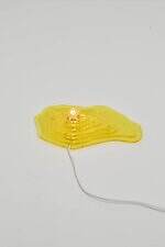 ヨウヘイ オオノ(YOHEI OHNO) ニキビができた人｜写真11