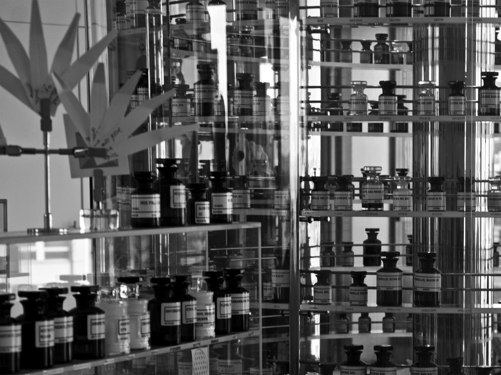 シャネル(CHANEL) ブルー ドゥ シャネル｜写真8